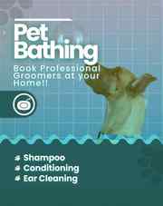 Dog grooming Jaipur