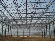 Large span construction
