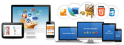 Web designing service in delhi rs. 10000
