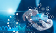                              Seo company          