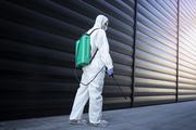 Pest Control Service In Mumbai