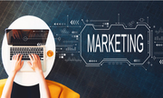 Best Digital Marketing Agency in Delhi | Wall Communication
