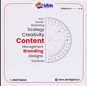  Advisible Digital Solution Pvt Ltd- Top digital marketing agency