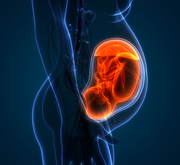 Top Gynaecologist in Ahmedabad
