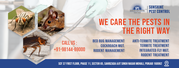 Best Pest Control Services Near you