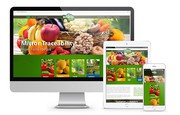 Best Company for Website Design and Development in Pune