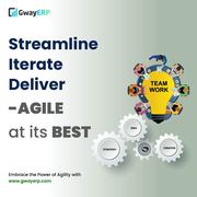 Custom software development