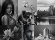 Unleash Your Creativity with Engaging Online Drawing Classes
