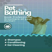Dog Grooming in Delhi