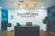 Hybrid Rice Seed Manufacturer
