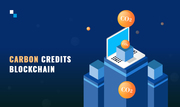 Connect with Antier for Your Upcoming Carbon Credit Development Projec