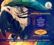 Best institute for graphic designing in Panipat