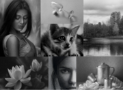 Best Online Portrait Sketching Course