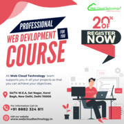 Become a Pro WordPress Developer!