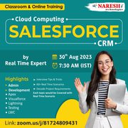Best salesforce training institute in hyderabad Naresh It