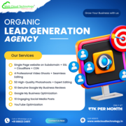 Discover the Secrets: Our Ultimate Organic Lead Generation Package 