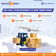 Efficiently Manage Imports with Our Custom clearance Expertise