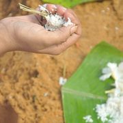 Ivormadom services - Contact Number: 9446295160,  9746556565,  828132318