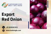 Export Red Onion