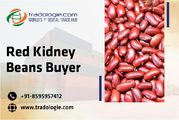 Red Kidney Beans Buyer