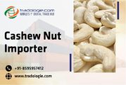 Cashew Nut Importer