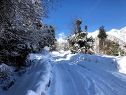 Valley of Flowers Package By Helicopter - Blue Poppy Holidays