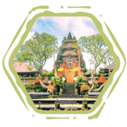 Best Tour & Travels Agency / Agents in Delhi,  India | The travelerink