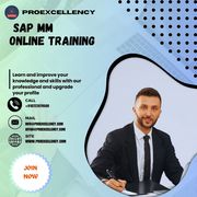 Accelerate your career with SAP MM Online Training from experts 