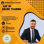 Accelerate your career with SAP SD Online Training from experts with 