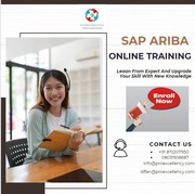 Sap Ariba Online Training