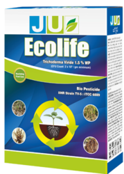 best fungicide for plants