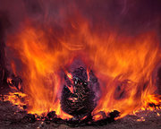 Ivormadom services - Contact Number: 9446295160,  9746556565,  828132318