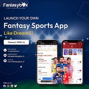 Fantasy Sports Application Development Expert