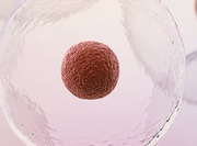 Best Joint Preservation Treatments in Indore. - Dr. Vinay Tantuway