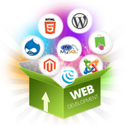 Web Development India