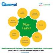Best Banking Microfinance software Company | Camwel Solution LLP