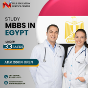 Nile Education Consultancy | Study MBBS in Egypt |Admission Now