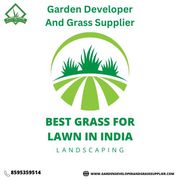 Best Grass for Lawn in India | Top Lawn Grass Options for Beautiful Ga