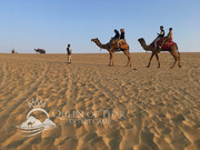 Thar Desert Tour In Jaisalmer