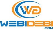 Seo Company In Delhi