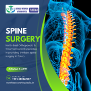 Expert Spine Surgeon Team at North-East Orthopaedic & Trauma Hospital