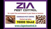 Cockroach pest control | Zia Pest Control Best Price and service  | 60