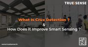 Presence Sensor vs True Presence Sensor in India