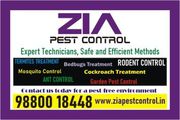 Zia pest Control | Anti Termite Treatment Special Discount price | 704
