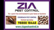 Zia Pest Control | Up To 30% Off  | Pest control services Near Me | 70