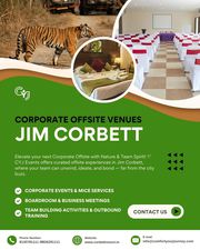 Reconnect with Nature: Perfect Corporate Offsite Venues in Jim Corbett