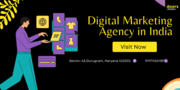 Choose Doors Digital Marketing Agency India for Proven Digital Success