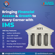 Next-Gen Microfinance Software for Effortless Lending