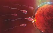 Best ART Bank in Bangalore - Surrogacy Near Me - Best Doctors for Arti