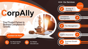 Tax Representation & Litigation | CorpAlly Experts
